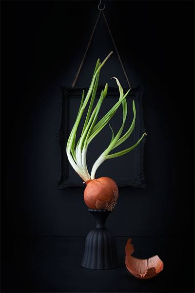 Photograph Candela Mora La Cebolla Sedente on One Eyeland